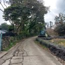 표선리-12 이미지