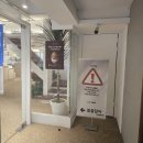 봄을담아 | [춘천] 춘천명동카페 &#39;봄을담아&#39; 방문후기