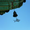 물고기 식당 이미지