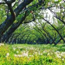 참치과기공소 이미지