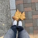 장수 배드민턴장 화장실 | [24&#39; 11] 11월, 맛있게 먹고 열심히 운동하는.. 그리고 어딘가 귀찮은 25살의 가을 |인생 첫 관악산...