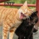 Happiness puppy 이미지