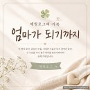수정-10 | [엄마가 되기까지 #10] 인공수정 실패 후기｜난임병원을 옮기기로 결심한 이유