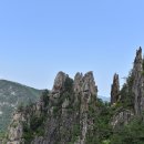 천지 오마이뉴스
