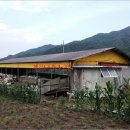 거창축사 이미지