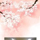 규림네트웍스 네이버블로그
