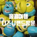 홍콩여행 디즈니랜드 방문기/어플/음식물/버스/지하철