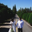 아름다운연구소 | 나주 산림자원연구소 웨딩 스냅 후기, 자연광 야외 촬영 장소 추천