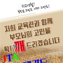 비호체육도장