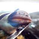 남부해물 이미지