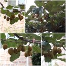 웅남동104 이미지