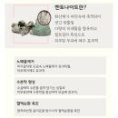 두피탈모태후사랑 이미지