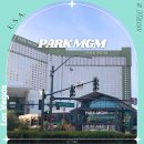 미국 라스베가스 호텔 추천 파크 MGM 엠지엠 스트립 가성비 숙소