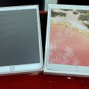 서현정보통신 | 분당 중고폰 매입, 여기만 알면 현명하게 처리해요!