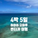 하와이 오아후 4박5일 렌터카 루트 | 와이키키 + 노스쇼어 + 이스트쇼어 완벽 로드트립