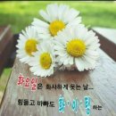 화요일