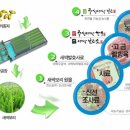 농업회사법인(주)주성 이미지