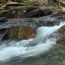 카페수목원 이미지