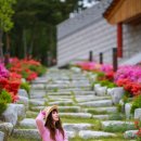 화랑마을-4 네이버블로그