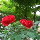 신희농장 이미지