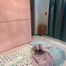 하티미미 | 분당차병원 유도분만 실패 후 제왕절개 수술 후기