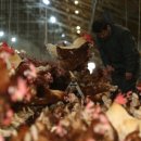 복지농장 이미지