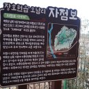 이천터미널 사거리 이미지