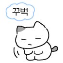 일신스포츠센터 이미지