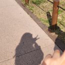 성우경로당 | 0925_1001