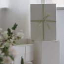 [하우스겸재 후기] Spring Flora Pairing – 봄을 피워낸 순간들