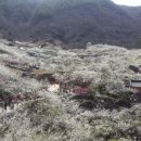 (주)명인밥상 이미지