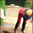 밥퍼주는남자 이미지