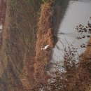 에디슨부동산공인중개사사무소 이미지