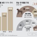 개와당신 이미지