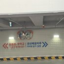 권선청소년수련관 세미나실 | [SW] 권선배움마루 수영장 원정수영 주말 자수후기🏊‍♀️