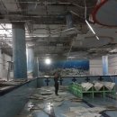 진영태양광발전소 이미지