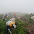 구례사람들 이미지