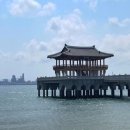 대구 마술 공연과 함께 ☆ 추억 듬뿍 ☆ 낭만 가득 ☆ 매직 Tour!!! 같이 떠나볼까요?~~~~~~~~~~ &#34;포항 편&#34; 이미지