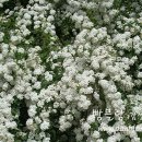 서로지을 이미지