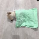 고보민 이미지