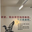 왕지짬뽕 | [순천] 호수공원 맛집 덕클 내돈내산 후기(소고기 차오미엔, 마파두부덮밥, 크림짬뽕, 가지튀김)