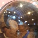 만박동물병원 이미지