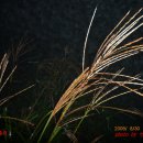 영남상회 이미지