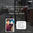 꽃돼지 Daum카페