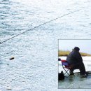 자바낚시 이미지