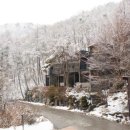 포레스트리솜 이미지