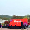 (주)카스울산지점 | 2026 울산커플마라톤봉사 복장 및 후기 길안내와 식수대의 차이점