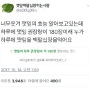 깻잎 하루 권장량.JPG 이미지