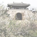 다발로