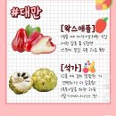 2025년도 열여덟번째 글